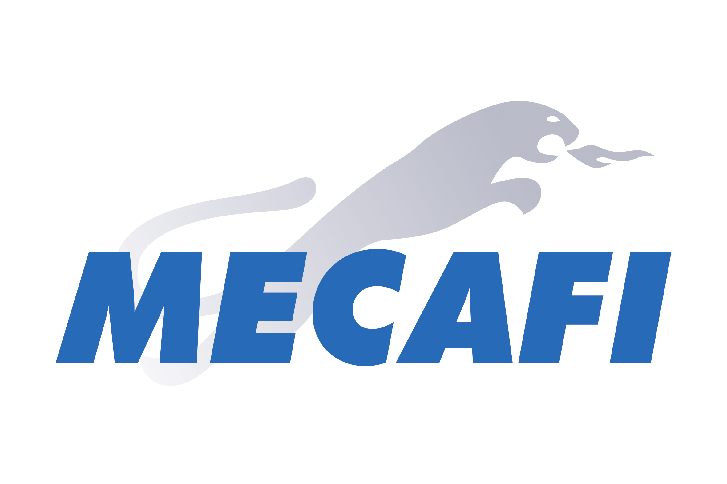 Groupe Mecafi